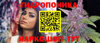 крисы Чапаевск