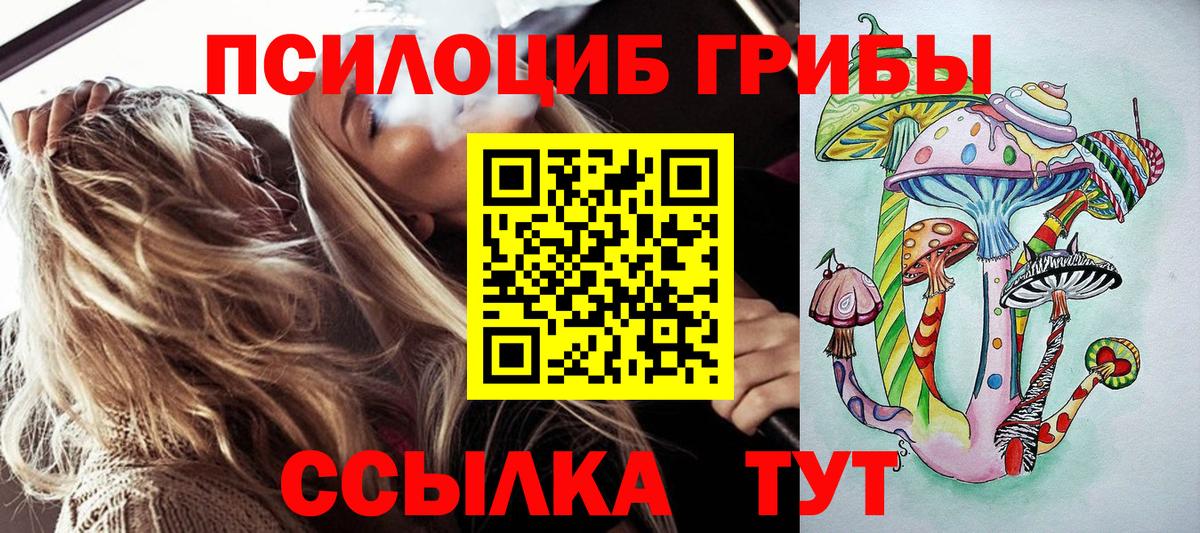 Асино  Псилоцибиновые грибы ЛСД  Вход с VPN 