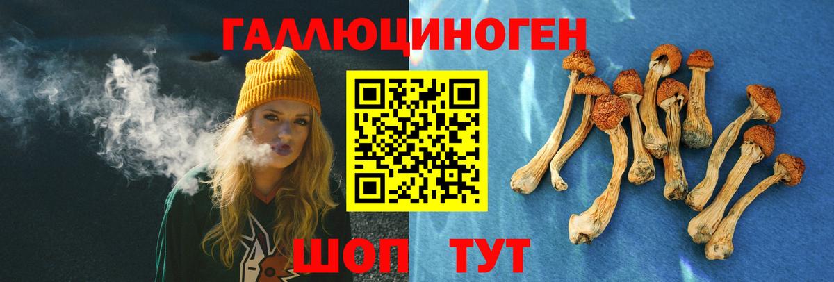 Псилоцибиновые грибы GOLDEN TEACHER Асино